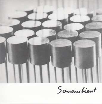 11CD/Set di cofanetti Harry Bertoia: Sonambient (Complete Collection) DLX