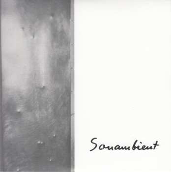 11CD/Set di cofanetti Harry Bertoia: Sonambient (Complete Collection) DLX