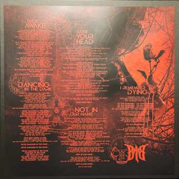 2LP/2CD/Set di cofanetti Beyond The Black: Beyond The Black LTD | NUM | CLR
