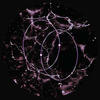 Album Bezier: Negative Velocity