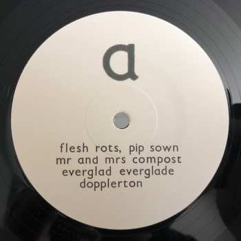 2LP Bibio: Vignetting The Compost