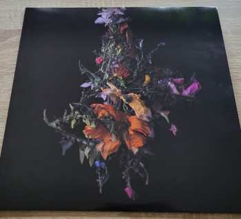 LP Big Brave: Nature Morte LTD | CLR