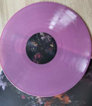 LP Big Brave: Nature Morte LTD | CLR