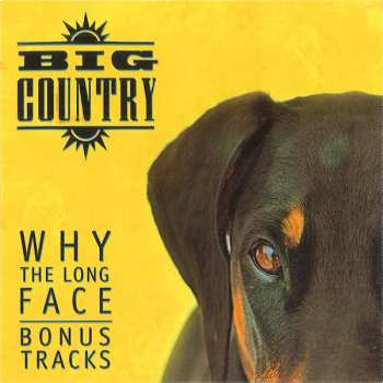 4CD/Set di cofanetti Big Country: Why The Long Face DLX