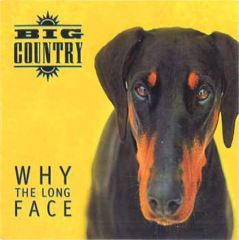 4CD/Set di cofanetti Big Country: Why The Long Face DLX