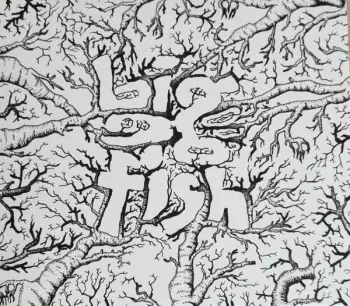 Big Fish: Kalla Döda Drömmar