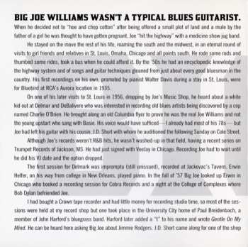 CD Big Joe Williams: I Got Wild