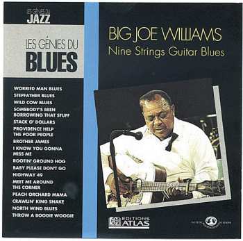 CD Big Joe Williams: Nine Strings Guitar Blues