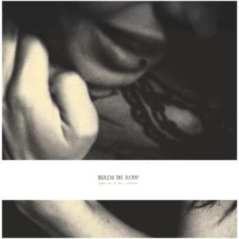 LP Birds In Row: You, Me & The Violence