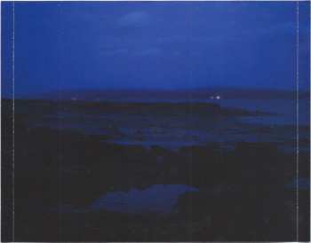 CD Birdy: Beautiful Lies