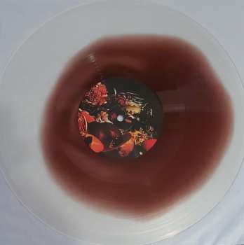 LP Birthmark: Birth of Omni CLR | LTD