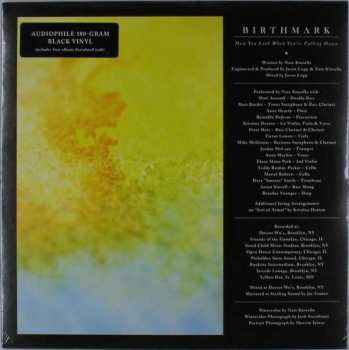 Album Birthmark: How You Look When You're Falling Down