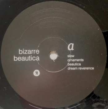 LP Bizarre: Beautica LTD | NUM
