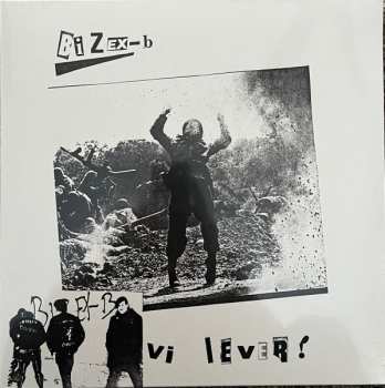 LP Bizex-B: Vi Lever!