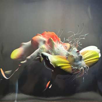 3LP Björk: Cornucopia Live