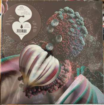 Set di cofanetti/2EP Björk: Fossoræ DLX | LTD | CLR