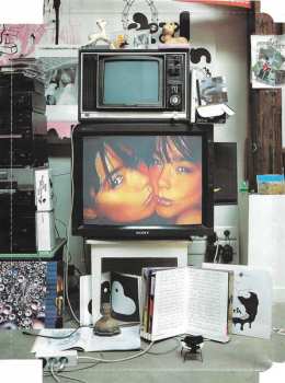 DVD Björk: Inside Björk