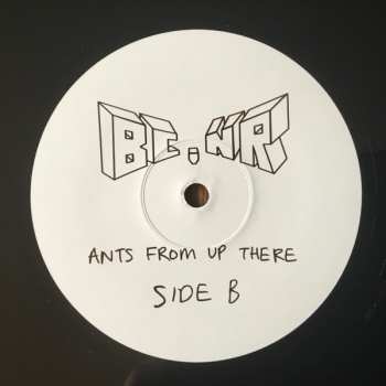 4LP/Set di cofanetti Black Country, New Road: Ants From Up There DLX | LTD