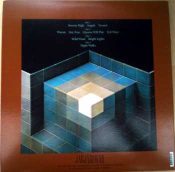 2LP Black Mountain: In The Future