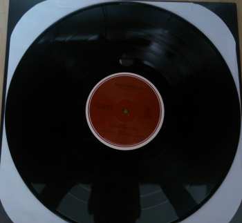 2LP Black Mountain: In The Future