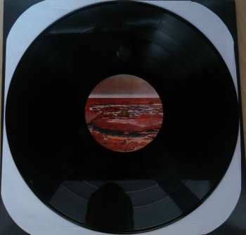 2LP Black Mountain: In The Future
