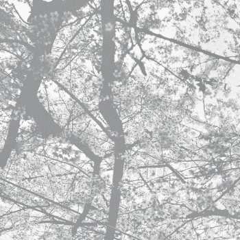 Album Black Rain: Obliteration Bliss