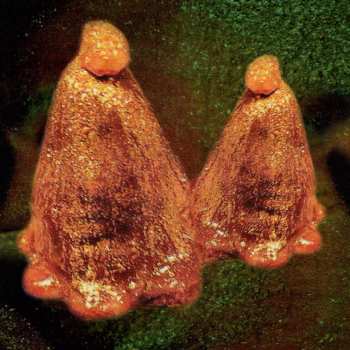 Album Black To Comm: Oocyte Oil & Stolen Androgens