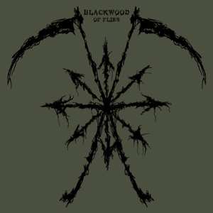EP Blackwood: Of Flies