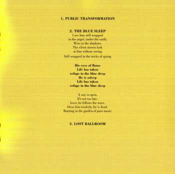 CD Blaine L. Reininger: The Blue Sleep