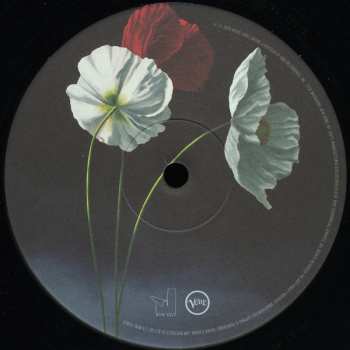 LP Blake Mills: Look