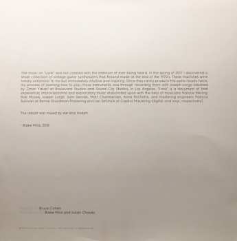 LP Blake Mills: Look