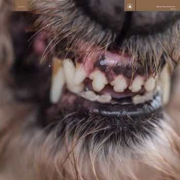 Album Blanck Mass: World Eater