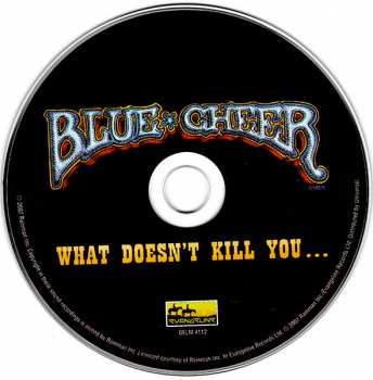 CD Blue Cheer: What Doesn't Kill You...