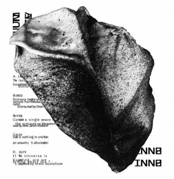 CD BNNT: Multiverse