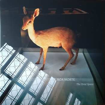 LP Boa Morte: The Total Space