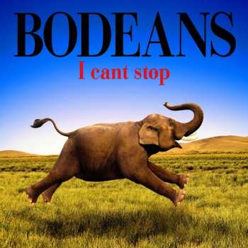 Album BoDeans: I Cant Stop