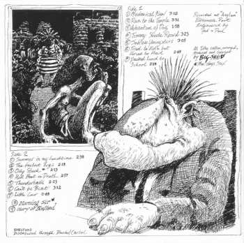 5CD/Set di cofanetti Bog-Shed: The Official Bog-Shed Bog-Set