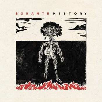 LP Bokanté: History
