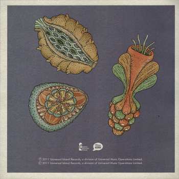 CD Bombay Bicycle Club: A Different Kind Of Fix