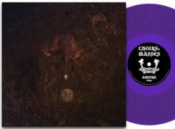 Album BongBongBeerWizards: Ampire
