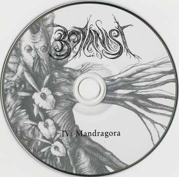 CD Botanist: IV: Mandragora LTD | DIGI