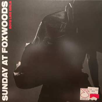 LP Boys Like Girls: Sunday At Foxwoods