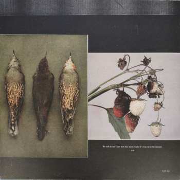 LP Brand New: Leaked Demos 2006