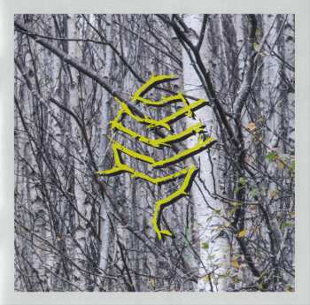 CD Breabach: Fàs