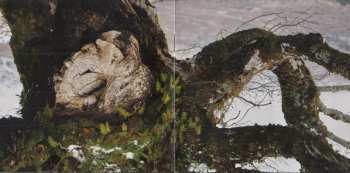 CD Breabach: Fàs