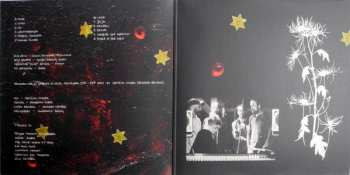 LP brennenstuhl: No LTD | CLR