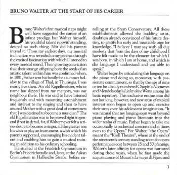 CD Ludwig van Beethoven: Violin Concertos