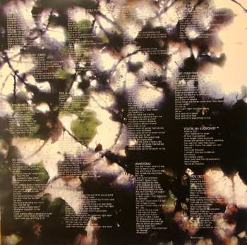 2LP Burning Brides: Anhedonia