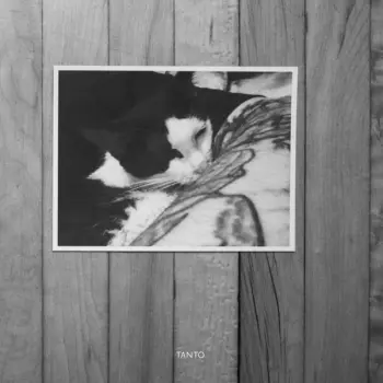 bvdub: Tanto