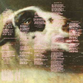 2LP Red Hot Chili Peppers: By The Way
